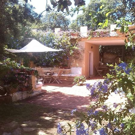 B&B Le Corti Di Aloa San Pantaleo Zewnętrze zdjęcie