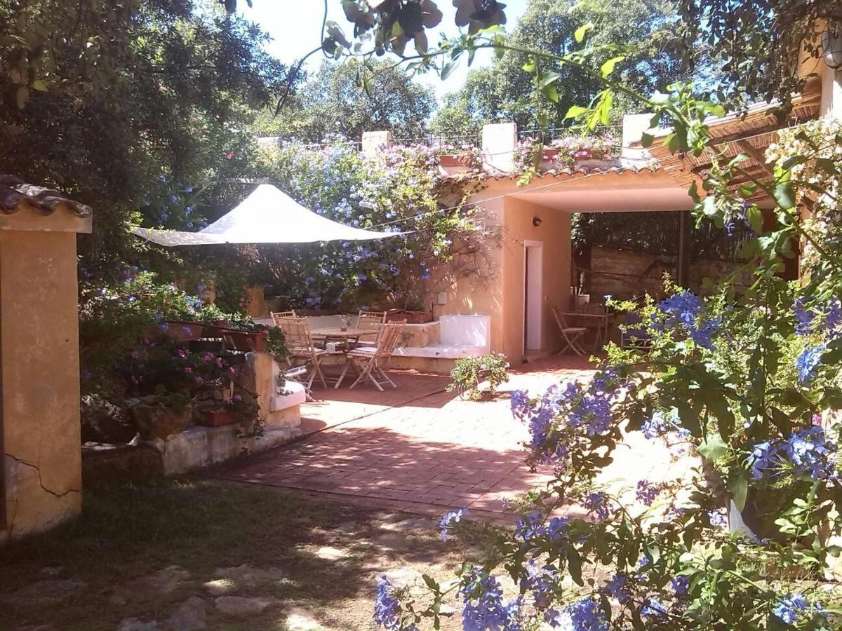 B&B Le Corti Di Aloa San Pantaleo Zewnętrze zdjęcie