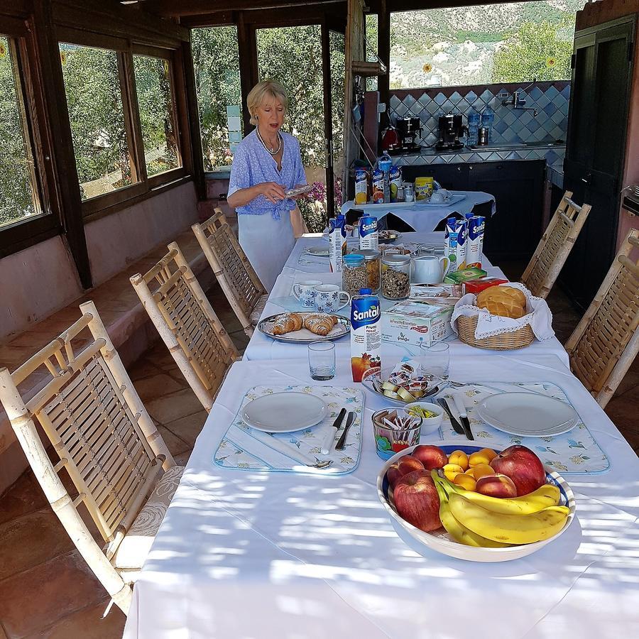 B&B Le Corti Di Aloa San Pantaleo Zewnętrze zdjęcie